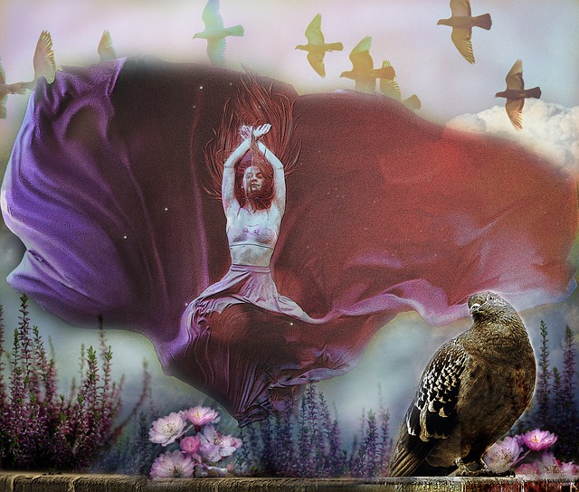 的操控展现 的操控展现