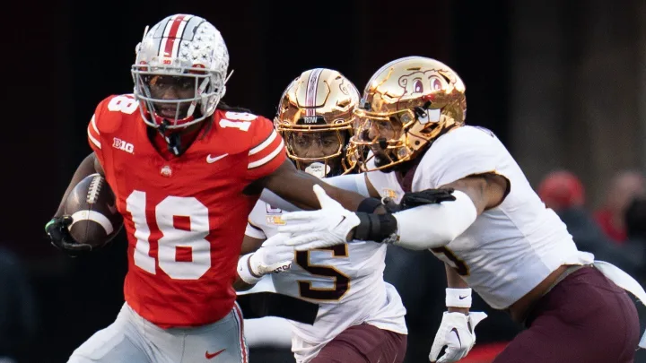 韧性与直觉 韧性与直觉